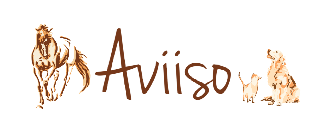 Aviiso