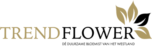 Trend Flower